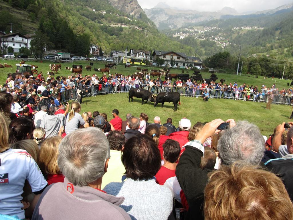 Miramonti Hotel Valtournenche Exterior foto